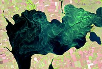 Цвітіння вод. Супутниковий знімок, 2016