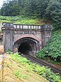 Buschtunnel