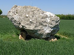 Image illustrative de l’article Dolmen de la Pierre Blanche