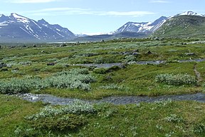 Tal des Bierikjåhkå im Sarek-Nationalpark mit Blick nach Südwesten
