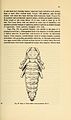Cerambycidae del norte de Asia. A.I. Cherepanov