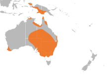 Cherax distribution.svg