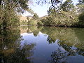 Image 25A pensive Cooplacurripa River, NSW (from River ecosystem)