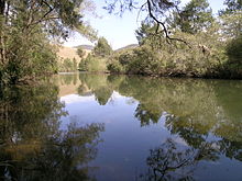 A pensive Cooplacurripa River, NSW Cooplacurripa R.JPG