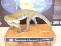 Miniatuur voor Decuriasuchus