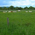 Vorschaubild der Version vom 15:08, 15. Mai 2016