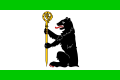 Flag of Jablonne nad Orlici CZ.svg