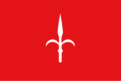 Flag of Trieste