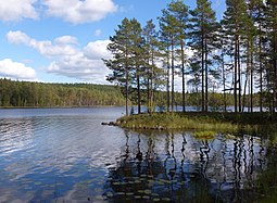 Sjön Gänsen vid orten Gänsen