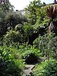 Garden Path Eccleston Square - geograph.org.uk - 1297548.jpg