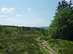 Le chemin qui vient de l'auberge du gazon du Faing.