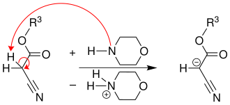 Reaktionsmechanismus der Gewald-Reaktion