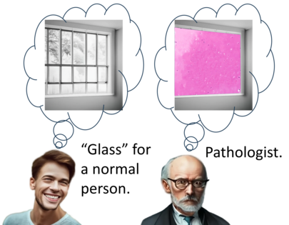 "Glass" for a pathologist.