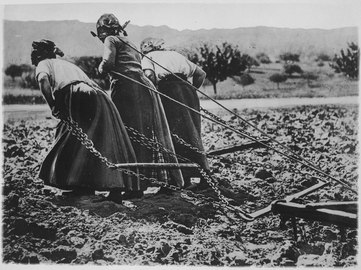 Heroic Women of France. Hitched to the plough, cultivating the soil. Image de propagande américaine, 1917.