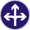 D-11 Vorgeschriebene Fahrtrichtung – rechts, geradeaus oder links