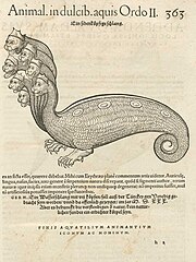 The 16th-century German illustrator has been influenced by the Beast of Revelation in his depiction of the Hydra.