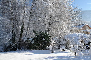 English: Garden under the snow. Français : Jar...