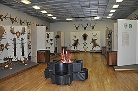 狩獵戰利品區的展品