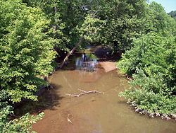 Leading Creek