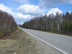 Tie Sanginkylän kohdalla Puolangalle päin.