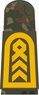 80px-MA_OG5_35_Oberstabsbootsmann.svg.png