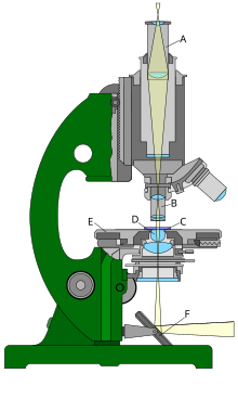 Imaxe de microscopio óptico