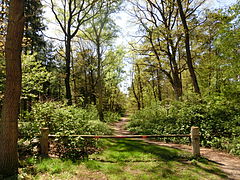 Neu-Osenberge mit Tierabschiedswald