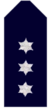 Nsw-police-force-Inspector.png