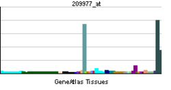 PBB GE PLG 209977 at tn.png