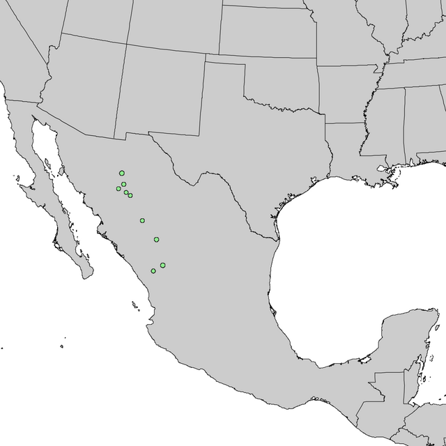 Description de l'image Picea chihuahuana range map 3.png.