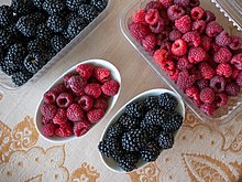 Serbia is one of the largest providers of frozen fruit to the EU and a big producer of fruits like raspberries, blackberries, apples and plums. Raspberries and blackberries from Srem, Serbia.jpg