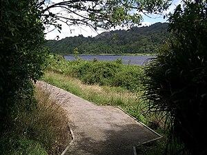 English: Walking path around Lake Rotokare