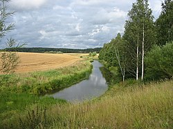 Tarvasjokea Liedossa lähellä Tarvasjoen keskustaa Hämeen härkätieltä nähtynä