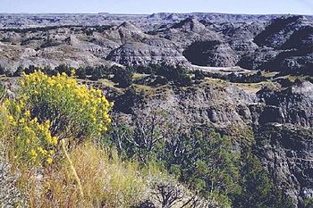 Theodore Roosevelt National Park is located in...