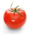 ਟ - ਟਮਾਟਰ Tomato