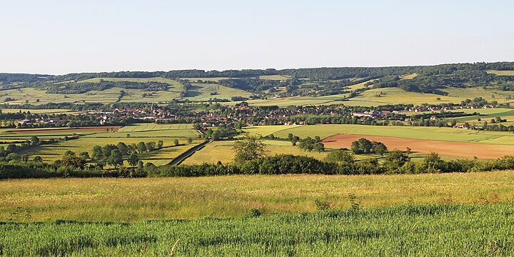 Vitteaux, en arrière-plan Cessey-lès-Vitteaux, montagnes de Chardon à gauche et de Come-Chaloir à droite (vue depuis la côte de Vesvres).