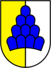 Wappen von Salenstein