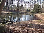 Die gestaute Flottbek im Wesselhoeftpark