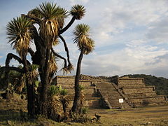 Zona arqueológica de Xihuingo.