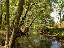 2013-05-04 12 53 55 View west along the Assunpink Creek in West Windsor Township in New Jersey.jpg