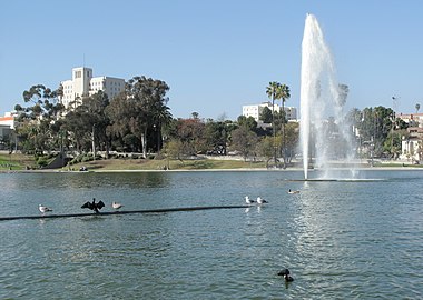 The lake in MacArthur Park, Los Angeles