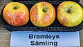 Bramley (Apfel)