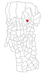 Location in Argeș County