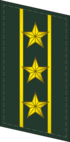 CAPF-Collar-0716-COL.png