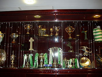 Photo of trophy case within the Celtic Park trophy room, several of the trophies draped in green and white coloured ribbons