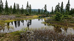 One of the many lakes of the Forbidden Plateau