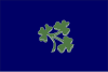 Крикет Ирландия flag.svg