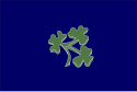 Cricket Ireland flag.svg