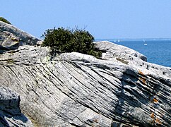 Dépôts de l'ancien fleuve Yprésis au débarcadère de l'île de Noirmoutier.