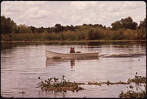 FISHING IN BAYOU GAUCHE, IN THE LOUISIANA WETLANDS - NARA - 544195.jpg